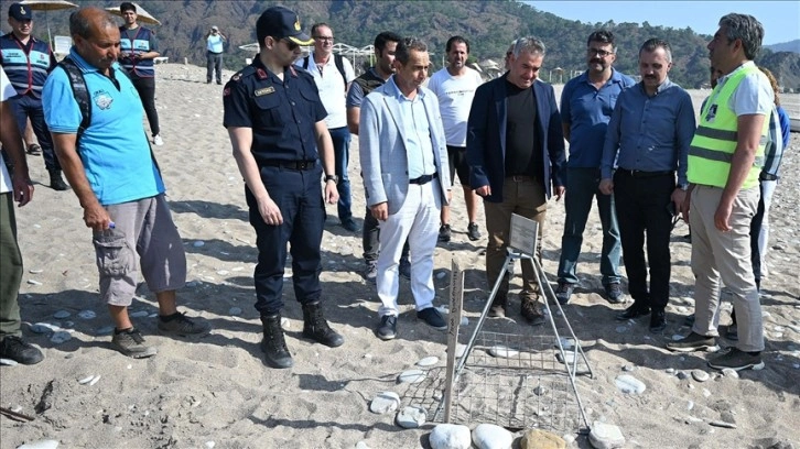 Antalya'nın Çıralı sahilinde caretta carettalar yumurta bırakmaya başladı