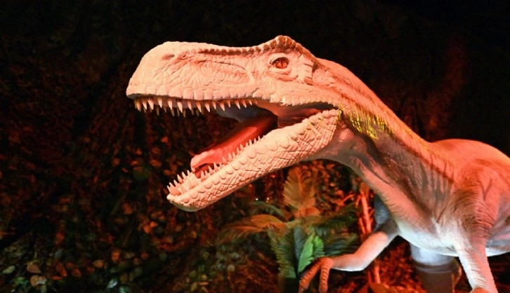 Brüksel'de 'gerçekçi' Dinozor sergisi hafta sonları dolup taşıyor