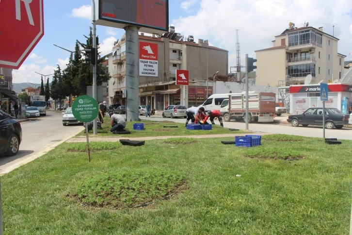 Korkuteli'ye Başkan Böcek'ten yaz çiçekleri