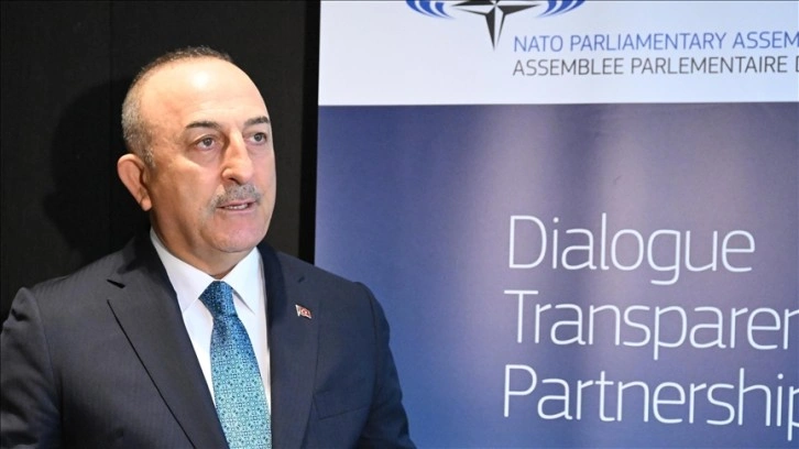 NATO PA Türk Delegasyonu Başkanı Çavuşoğlu'ndan İsrail'e saldırılarını durdurma çağrısı