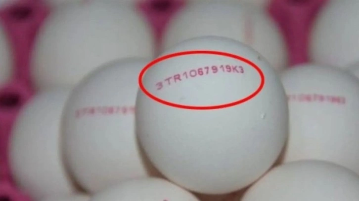 Yumurtayı rastgele almaktan hemen vazgeçin: Bu detaya dikkat etmeyenler yumurta değil zehir yiyor