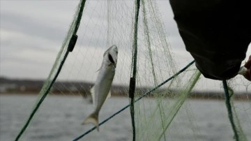 ABD, balıkçılık sübvansiyonlarının azaltılması anlaşmasını onayladı