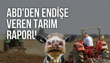 Amerika Birleşik Devletleri Tarım Bakanlığı, Türkiye’deki hayvancılık sektörünü incelemeye aldı
