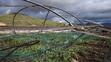 Antalyalı çiftçilere son 18 yılda 914,7 milyon TL hasar tazminatı ödendi