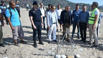 Antalya'nın Çıralı sahilinde caretta carettalar yumurta bırakmaya başladı