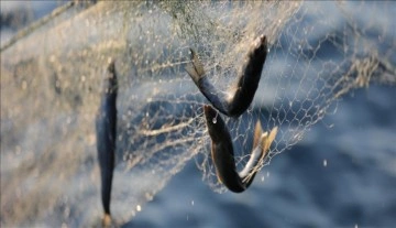 Balıkçılıkta karbon ayak izini düşürmenin yolu doğayla dost yöntemlerden geçiyor
