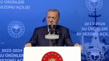 Başkan Erdoğan: Su ürünleri ihracatında hedefimiz bu yıl bir rekor daha kırmak