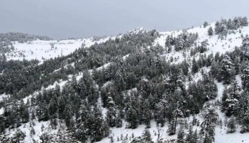 Beklenen kar yağmadı: Kayak merkezleri sezonu açamadı
