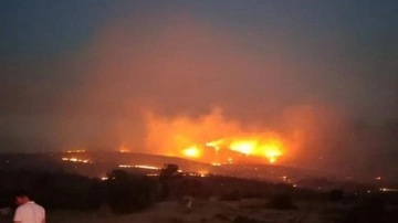 Bilecik ve Bursa'daki orman yangınları 18'inci saatte kontrol altına alındı.