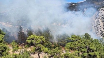 Bir orman yangını daha! Antalya'nın Kaş ilçesinde yangın çıktı. Ekipler yangını söndürdü