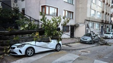 Bursa'da lodos nedeniyle ağaç ve elektrik direği araçların üzerine devrildi