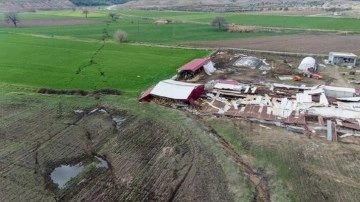 Depremler tarım alanlarını yerle bir etti: Gıda üretiminde yüzde 20'den fazla kayıp var