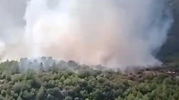 Eskişehir'deki orman yangını kontrol altında. Soğutma çalışmaları devam edecek