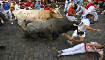 Hayvan hakları savunucularını kızdıran festival tüm hızıyla sürüyor 