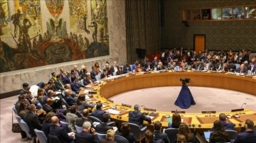 İrlanda ve Polonya, BM Güvenlik Konseyi'nde iki devletli çözüme desteklerini dile getirdi