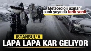 İstanbul'a lapa lapa kar geliyor! Meteoroloji uzmanı canlı yayında tarih verdi