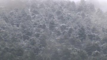 İstanbul'da kar yağışı başladı. Aydos Ormanı'nın yüksek kesimleri beyaza büründü