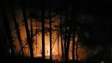 Karabük'te gece saatlerinde korkutan yangın. 5 dönüm alan zarar gördü