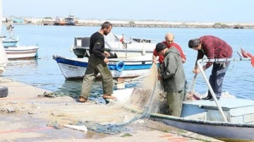 Karadenizli balıkçılar isyan edecek! Balon balığı şimdi de Karadeniz'de!