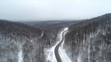 Kırklareli'nde karla kaplanan Istranca Ormanları havadan görüntülendi