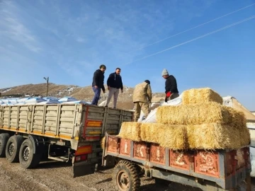 Konyaaltı Belediyesi, Deprem Bölgesindeki Hayvan Çiftçilerine Yem ve Saman Desteği Sağlıyor