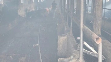 Konya'daki yangında korkunç bilanço: 33 büyükbaş öldü
