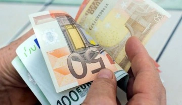 Mahkeme hayvana eziyet davasında kediye 100 euro tazminat ödenmesine hükmetti
