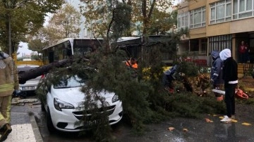 Maltepe'de yağış nedeniyle otomobilin üzerine ağaç düştü. O anlar kameralara yansıdı