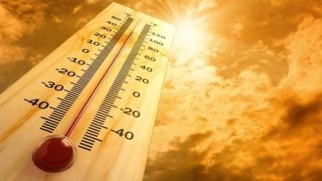 Meteoroloji açıkladı: Ocak ayında son 53 yılın sıcaklık rekoru kırıldı!