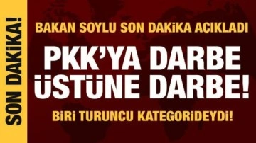 MSB: 9 PKK'lı terörist etkisiz hale getirildi