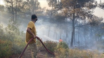 Orman yangınlarına neden oldukları gerekçesiyle bir haftada 7 şüpheli gözaltına alındı