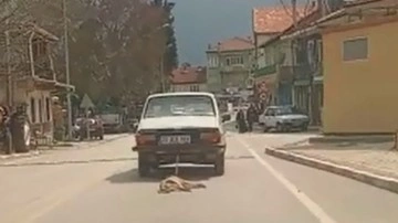 Otomobilin arkasına bağladığı köpeği işkence ederek öldürdü!