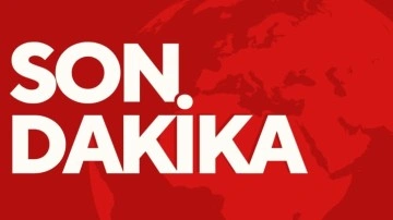 Son Dakika... Ali Yerlikaya duyurdu: Kahramanlar- 29 operasyonunda 39 şüpheli yakalandı