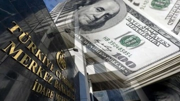 SONDAKİKA Merkez Bankası dolar kurunu 24 TL olarak açıkladı. Beklenti anketi yayınlandı.