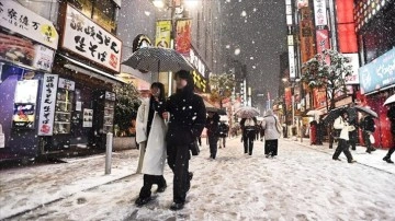 Tokyo ve çevresindeki yoğun kar yağışı sebebiyle 240 kişi yaralandı